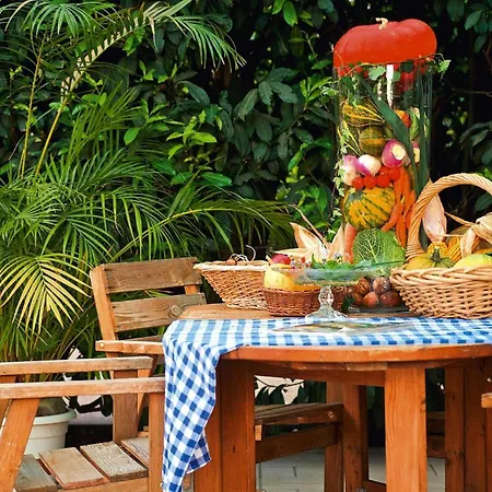 Flat In Alsace Near Vosges Nature Park, Cleaning Included * Morschwiller