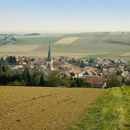 Apartment In Morschwiller, Cleaning Included *